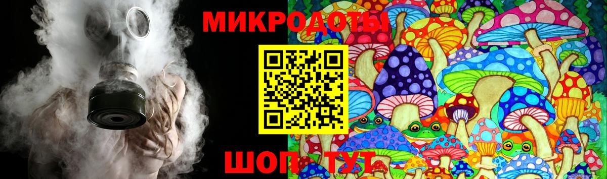 Псилоцибиновые грибы прущие грибы Звенигород