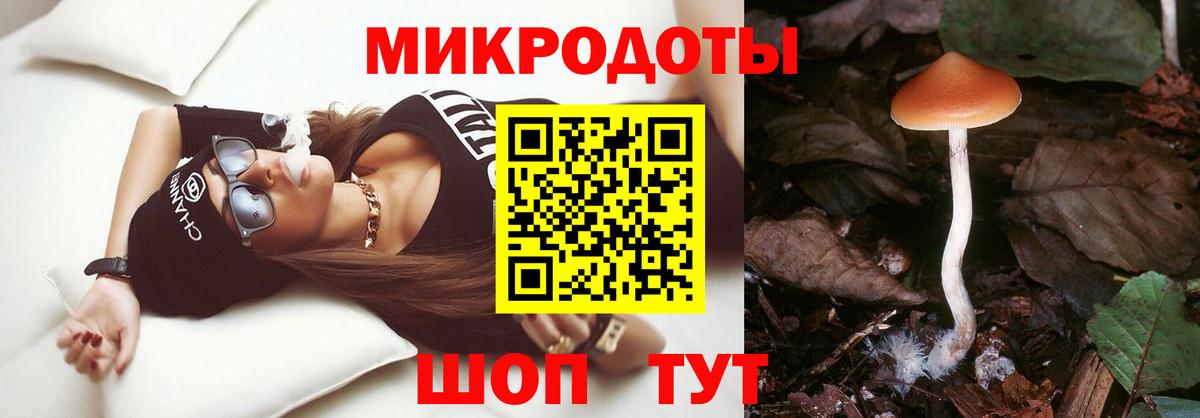 Галлюциногенные грибы мухоморы  Вход с VPN  Звенигород 